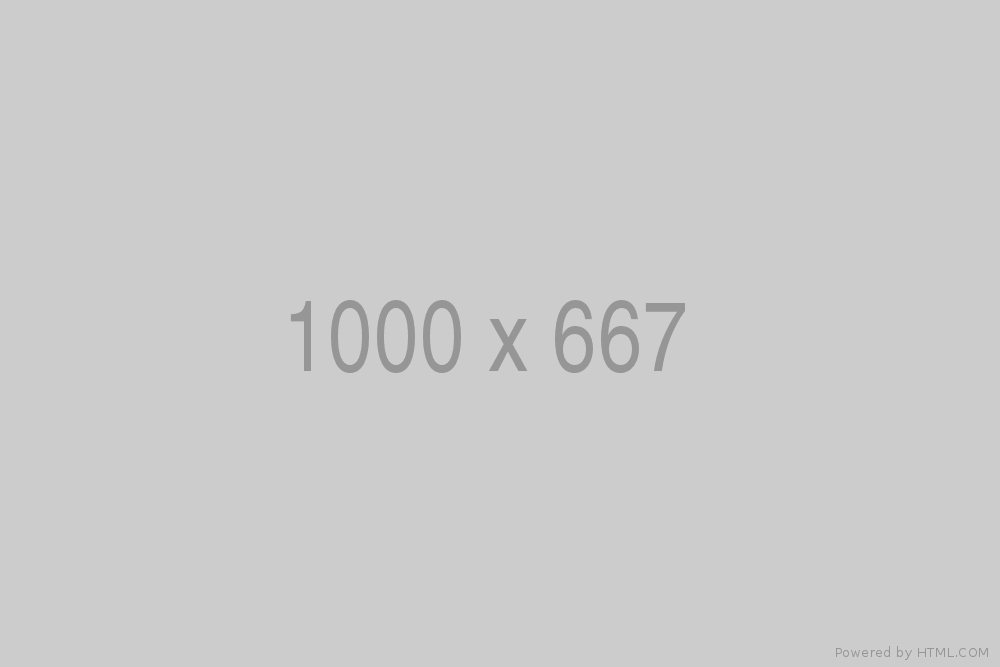 1000x667